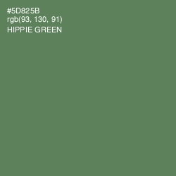 #5D825B - Hippie Green Color Image